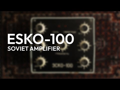 Formanta Esko 100 — USSR lo-fi Amplifier, Guitar Head image 6