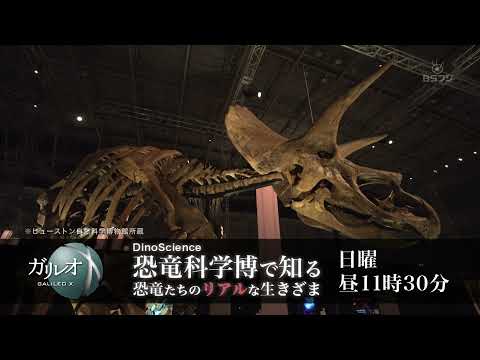 ガリレオX #248『DinoScience恐竜科学博で知る 恐竜たちのリアルな生きざま』