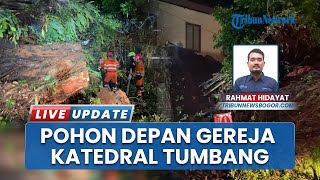Peristiwa Bogor: Pohon Beringin Besar Depan Gereja Katedral Tumbang, Lalu Lintas Terganggu