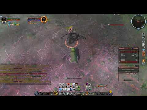 LOTRO T3 Woe of the Willow ID1 Beorning Solo | Belegaer