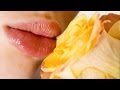Как сделать розовый бальзам для губ, бархатные губки: уход за губами 