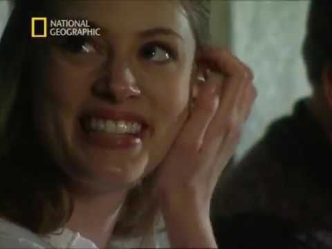 Interpol akták - Gyilkosság a vonaton