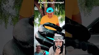 Download lagu wrapped by a snake @Virola_chan mp3 Download lagu wrapped by a snake @Virola_chan mp3