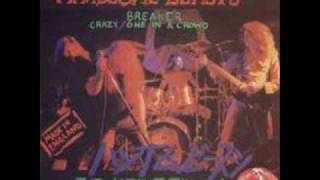 The Handsome Beasts - Breaker