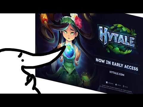 the Hytale experience