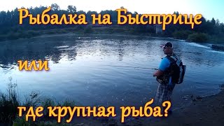 Рыбалка в кировской области на реке быстрица