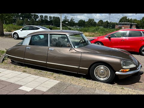 An Immaculate classic - Citroen DS