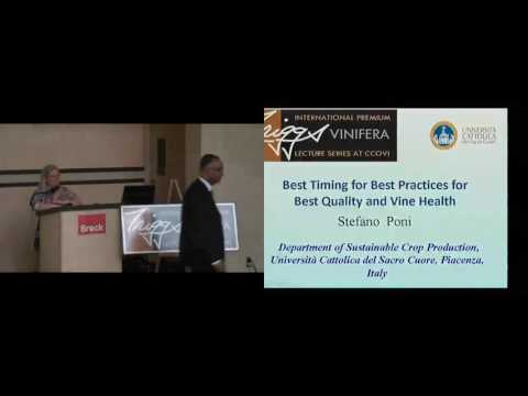 2017 Triggs International Premium Vinifera Lecture Series with Stefano Poni