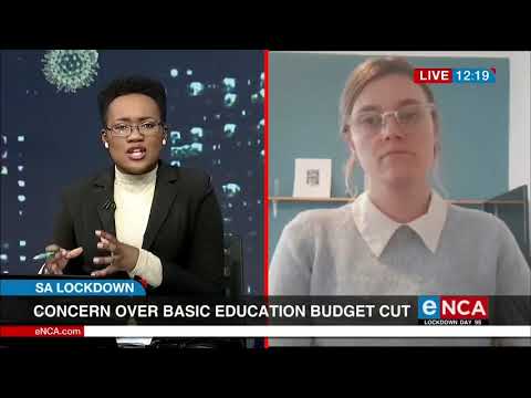 Concern over basic education budget cut