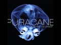 Puracane - Watershed