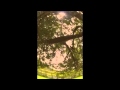 Beachwood Sparks - Natures Light - Ben Furniss Beachwood Sparks - Natures Light