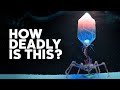 The Most Deadliest Virus On Earth The Bacteriophage