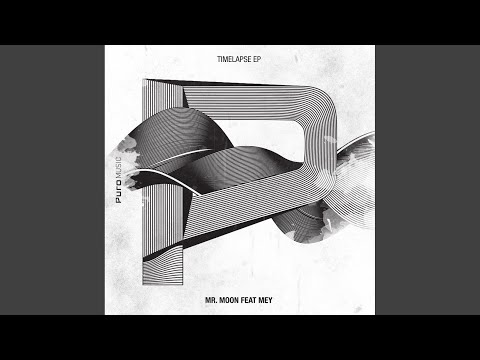 The Night Will Follow (Original Mix)