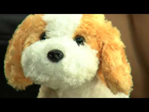 St. Leonhard SWISS MADE Damen-Armbanduhr wasserdicht, roségold