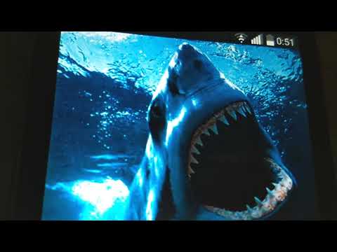 Megalodon x mosasaurio tribute