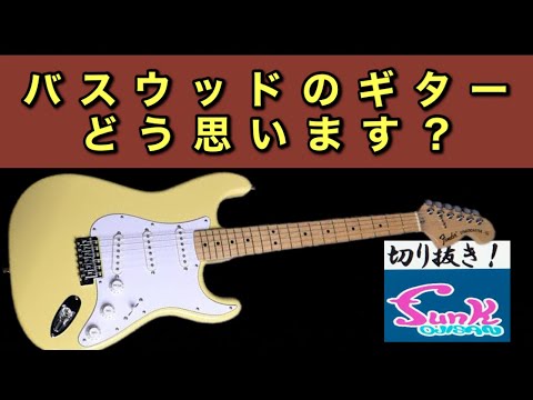 アメリカンバスウッド 植物