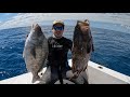 Black Grouper & Huge Margate | Spearfishing After Hurricane Ian | 2 Fish 1 Rock