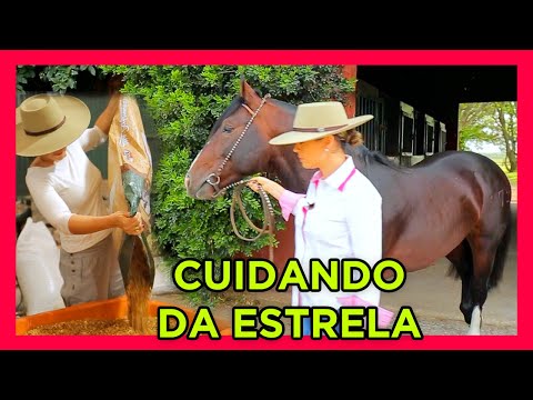 Jacinto Cala Bassa -CAVALO CRIOULO