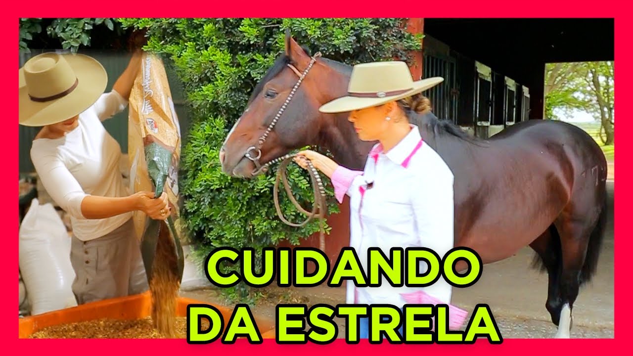 Jacinto Cala Bassa -CAVALO CRIOULO