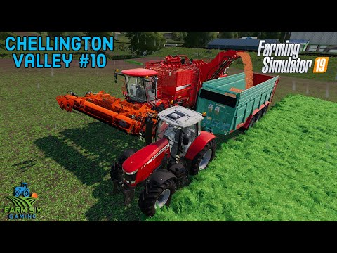 HARVESTING CARROTS & ANIMAL HUSBANDRY | Chellington Valley  EP9 - Farming Simulator 19 Timelapse