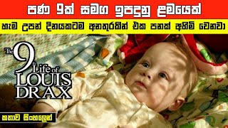 සුර දූතයෙක් වැනි ළමයෙක් | The 9th life of Louis Drax movie Sinhala Recap | Sinhala Movie recap