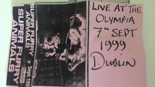 Super Furry Animals 'Chewing Chewing Gum' - Live at Dublin Olympia 1999