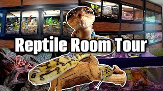 HUGE REPTILE ROOM TOUR! 2022 by Tyler Rugge