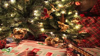 Silent Night | Instrumental Christmas Music | Christmas Song