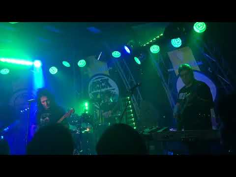 Diktátor-Rocksuli-Kőcsirke