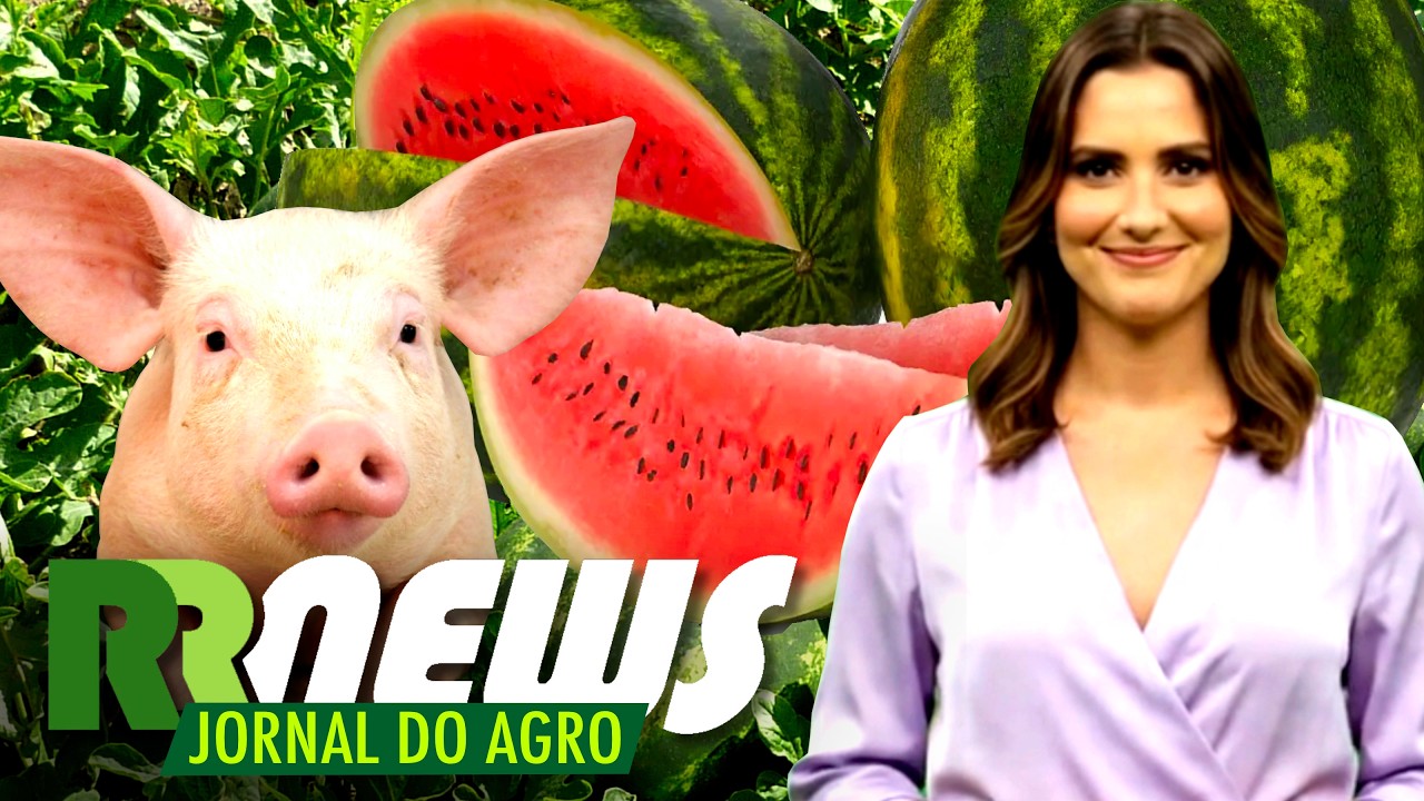 RRNEWS - O Jornal do Agro - 22/06/2026