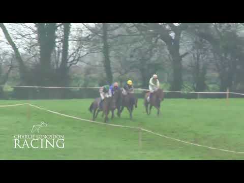 Horse For Sale: Diger Daudaie