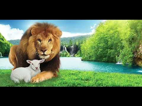 2022 0206 PM Isaiah 11