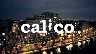 Calico - Debout les mots (Clip Officiel)