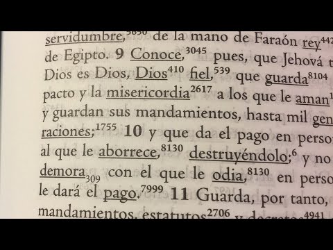 👏  DIOS NUESTRO COMPAÑERO FIEL  🌹