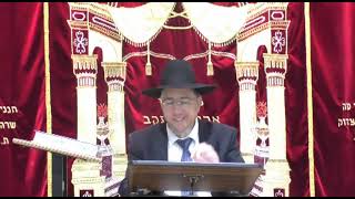 פרשת תולדות תשפ"ו   הרב שלמה ברסקה שליט"א