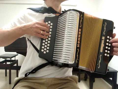 Hohner Corona III CORIIIAB Diatonic Accordion ADG For Sale