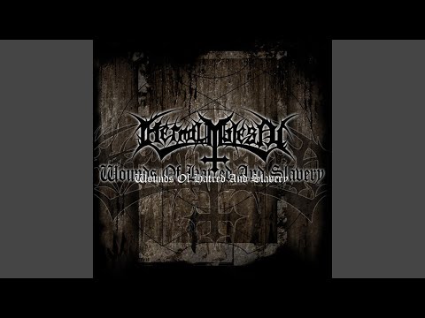 Under Hate Red Star You Born