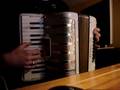 Accordion / Accordeon: Circle of smile - Baantjer Theme