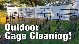 Parrot Cage Cleaning Outside! (How We Clean Our Cages)