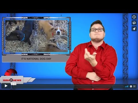 It's National Dog Day (ASL - 8.26.19)