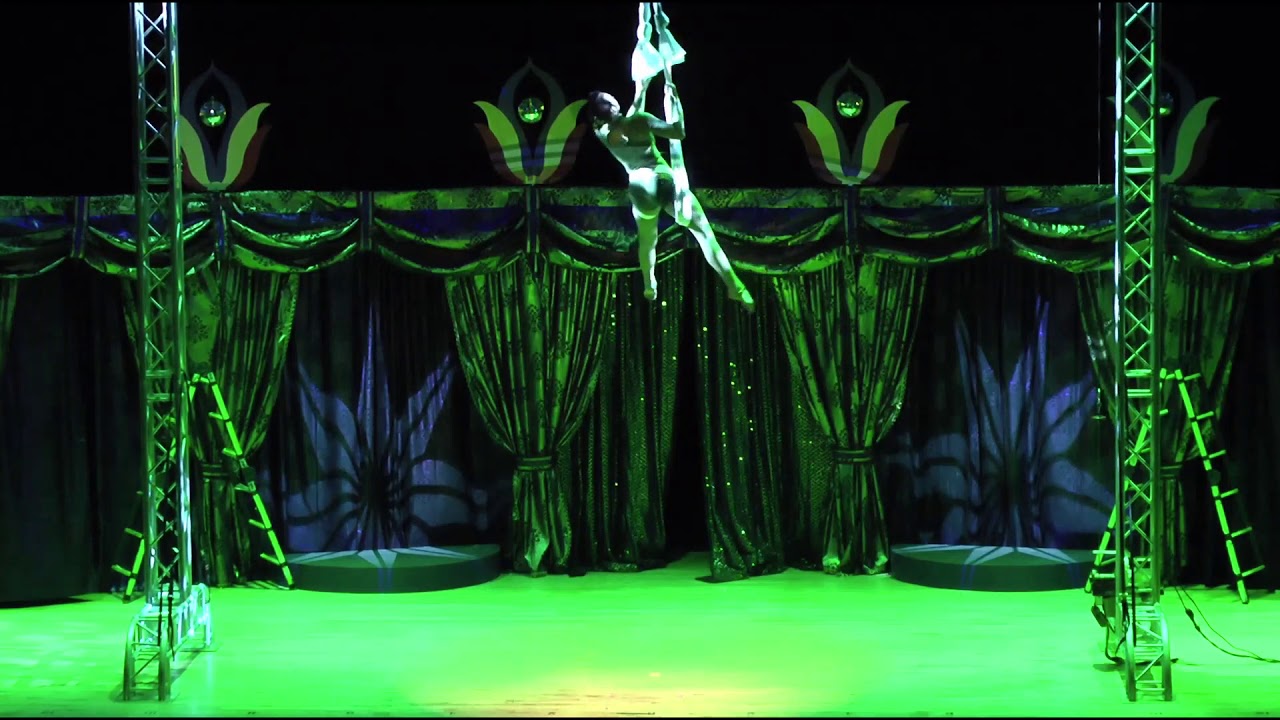 Promotional video thumbnail 3 for Nicole Sirdoreus - Aerial Dancer