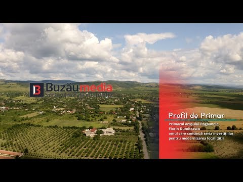 Profil de primar - orașul Pogoanele