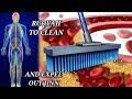 STRONG RUQYAH TO CLEAN AND EXPEL OUT JINN FROM BLOOD VEINS ARTERIES AND FROM ALL BODY PART