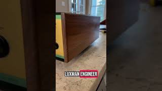 Let’s talk about the Leben CS-600X integrated amplifier #audio #hifi #devore #goldnote #leben