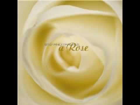 Stefano Panunzi - The Bridge