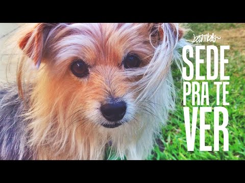 Sede Pra Te Ver video