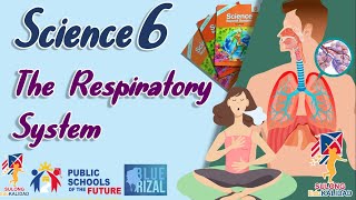 Download lagu GRADE 6- The Respiratory System | K12 Lesson Sulong Edukalidad mp3