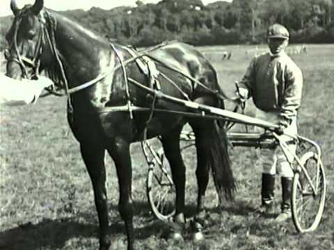 Renbaan Duindigt 1923 - Kampioenschap van Nederland