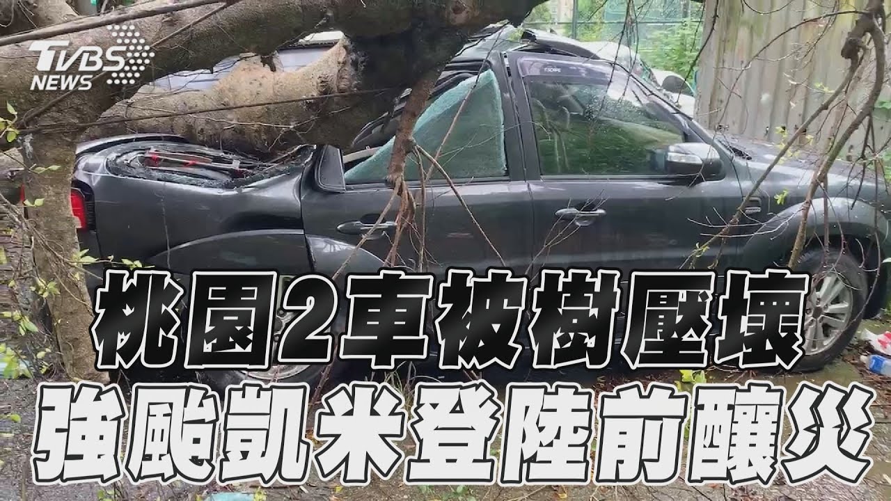 凱米颱風/桃園幸福國中後方巨樹壓毀車輛 里長求援