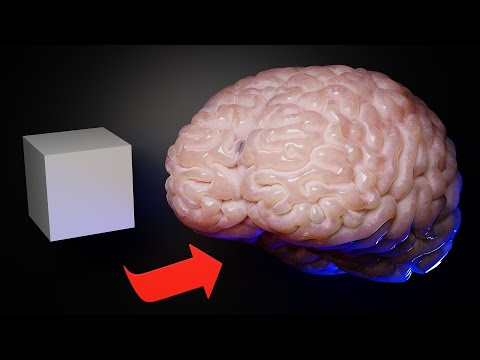How To Make a Brain in Blender